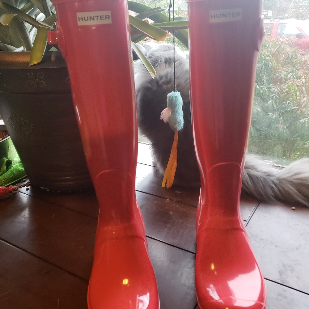 Hunter Boots